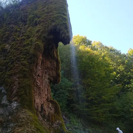 Vodenica Lug Bauernhof *