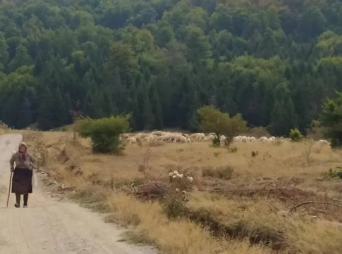 Vodenica Lug * Strmosten